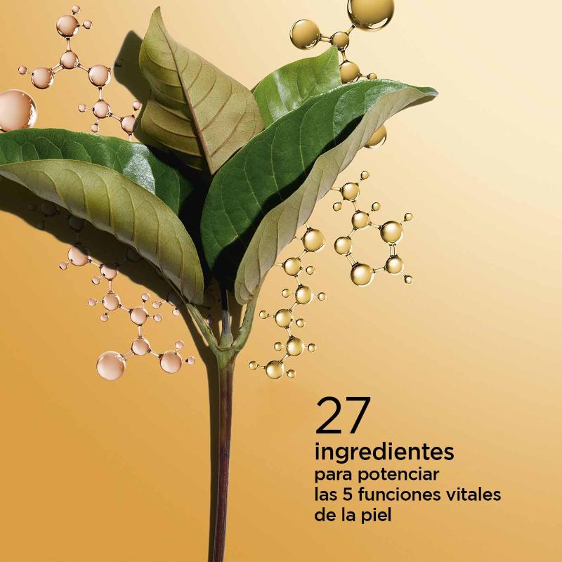 Miniatura 21